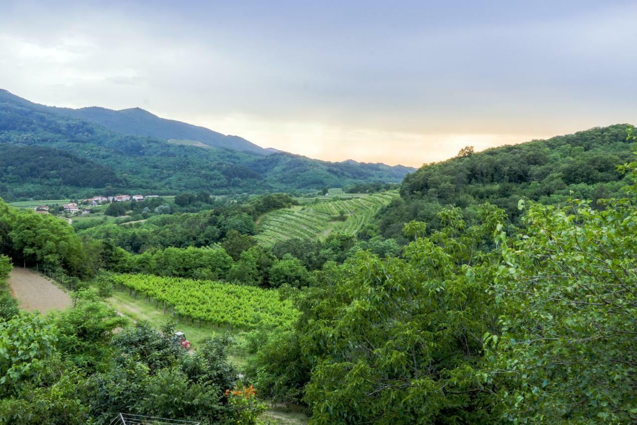 Cebron Family Estate Hotel Branik Bagian luar foto