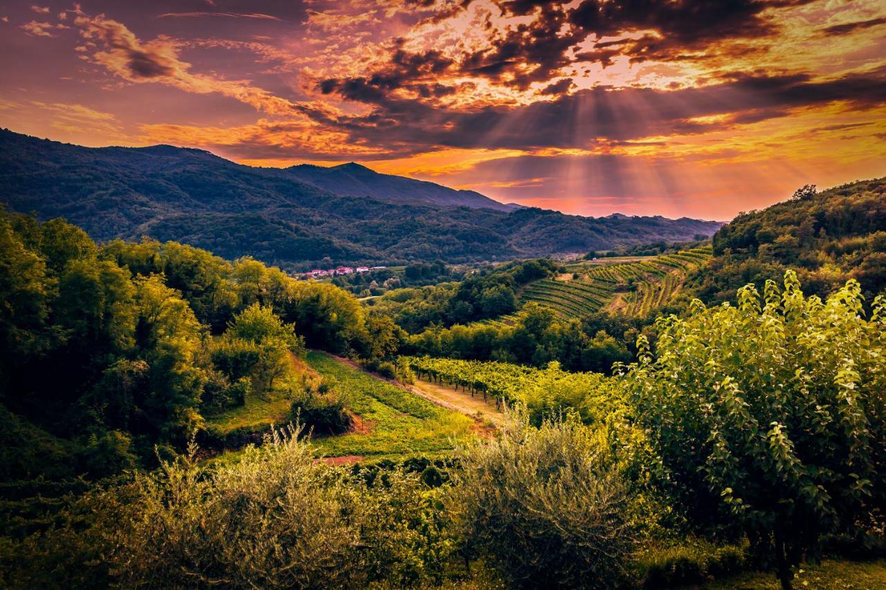 Cebron Family Estate Hotel Branik Bagian luar foto